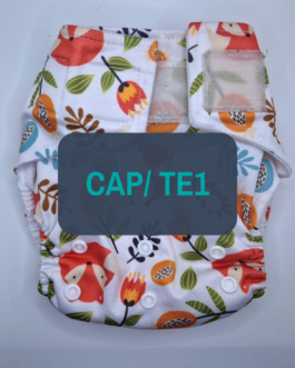 TE1 / CAP