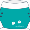 Shorty - Biscotte - TL (10 à 16kg) – Image 3