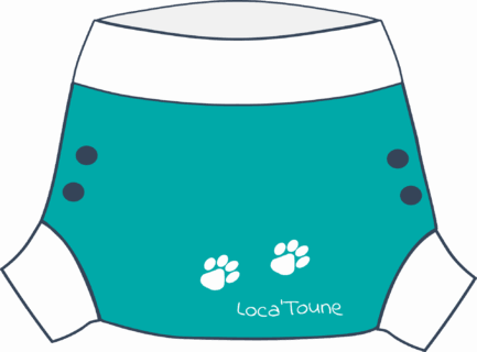 Shorty - Biscotte - TM (5 à 12kg) – Image 7